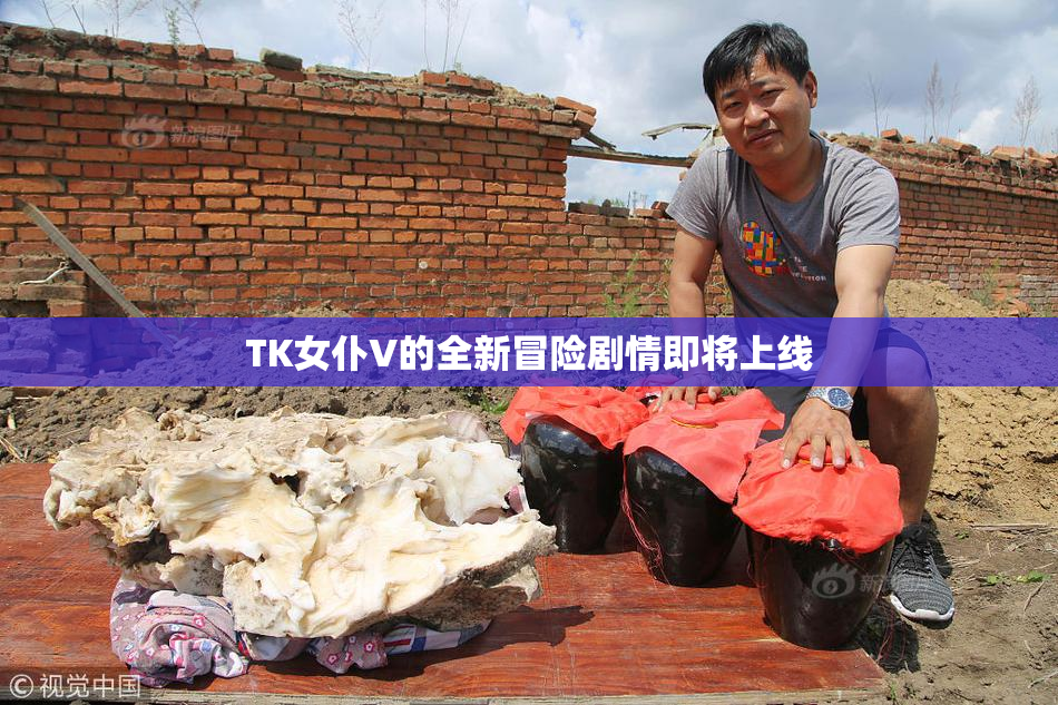 TK女仆V的全新冒险剧情即将上线