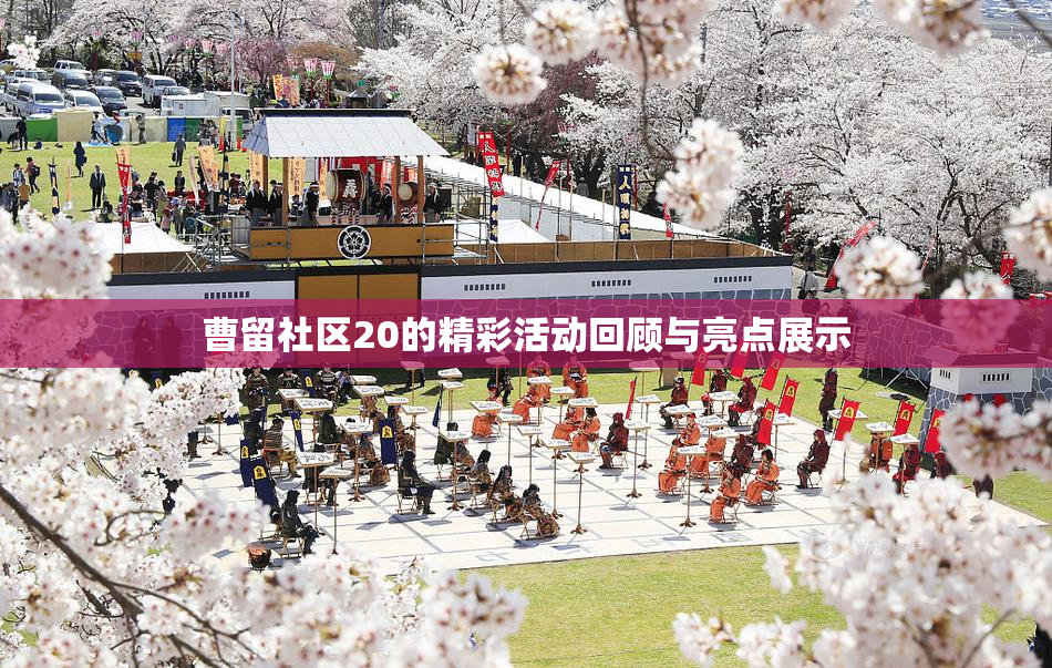曹留社区20的精彩活动回顾与亮点展示