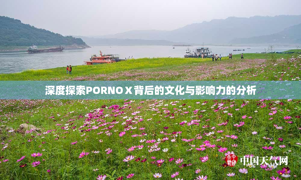 深度探索PORNOⅩ背后的文化与影响力的分析