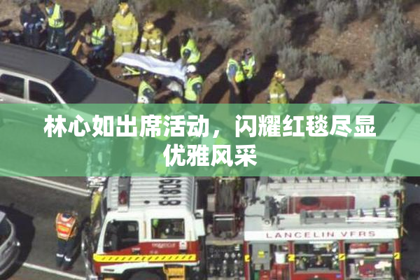林心如出席活动，闪耀红毯尽显优雅风采