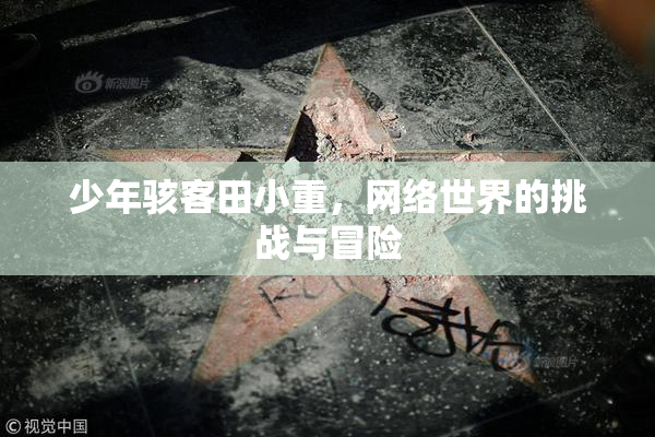 少年骇客田小重，网络世界的挑战与冒险