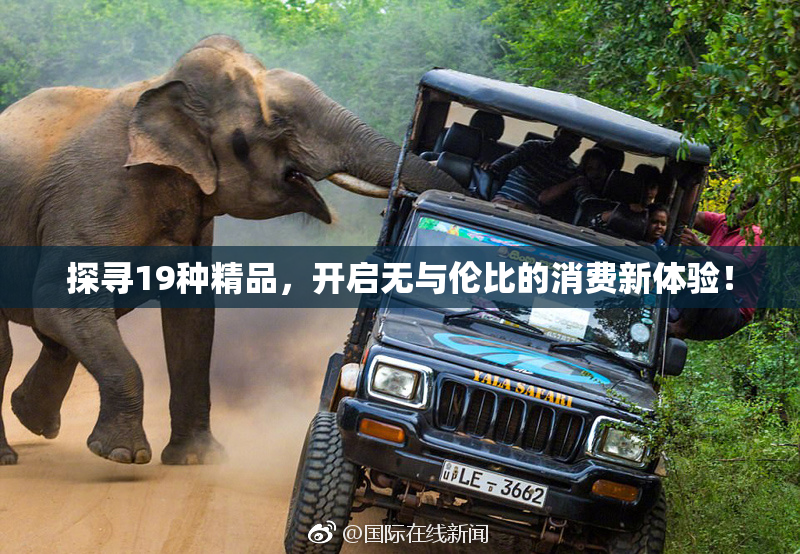 探寻19种精品，开启无与伦比的消费新体验！