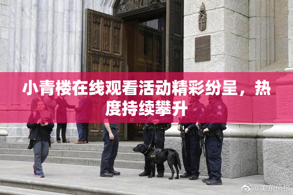 小青楼在线观看活动精彩纷呈，热度持续攀升