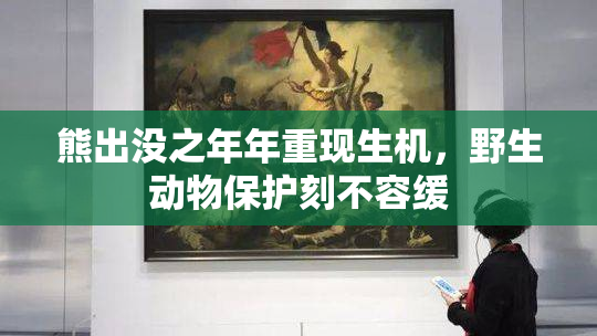熊出没之年年重现生机，野生动物保护刻不容缓