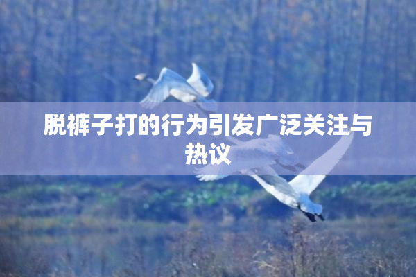 脱裤子打的行为引发广泛关注与热议
