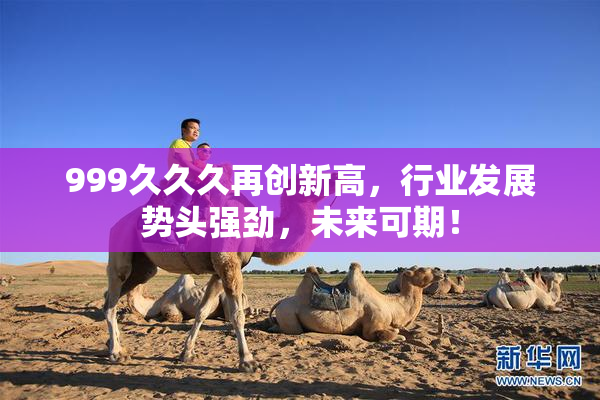 999久久久再创新高，行业发展势头强劲，未来可期！