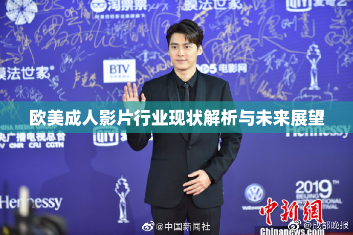 欧美成人影片行业现状解析与未来展望