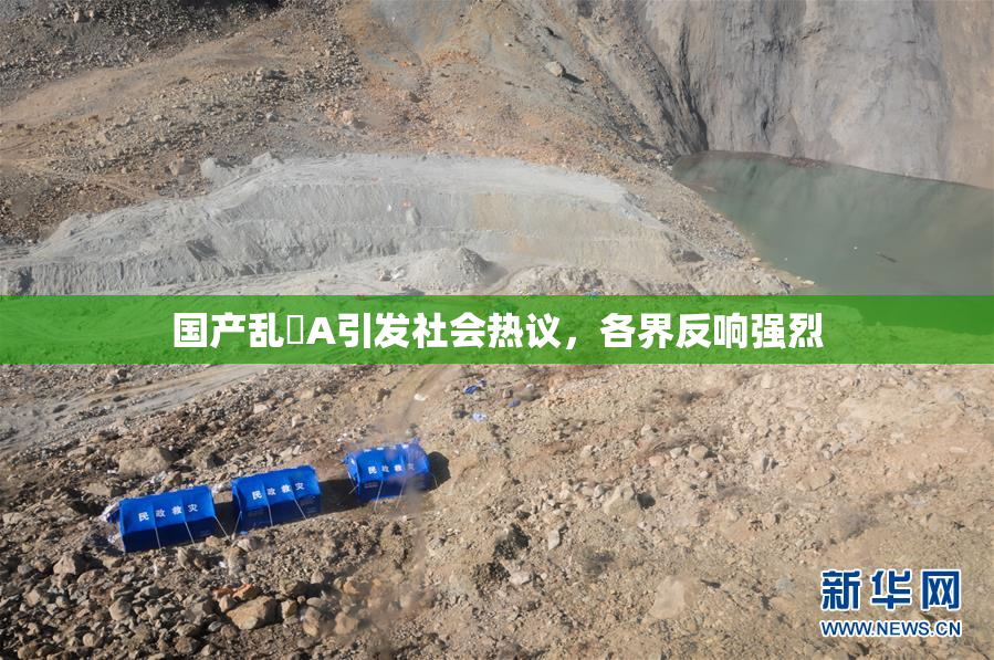 国产乱婬A引发社会热议，各界反响强烈