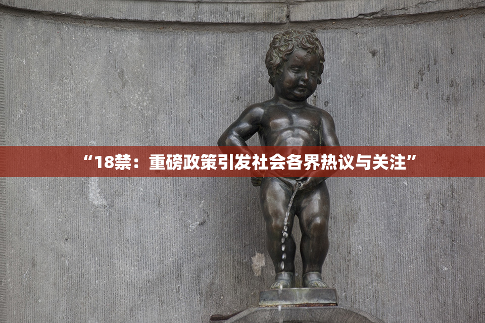 “18禁：重磅政策引发社会各界热议与关注”