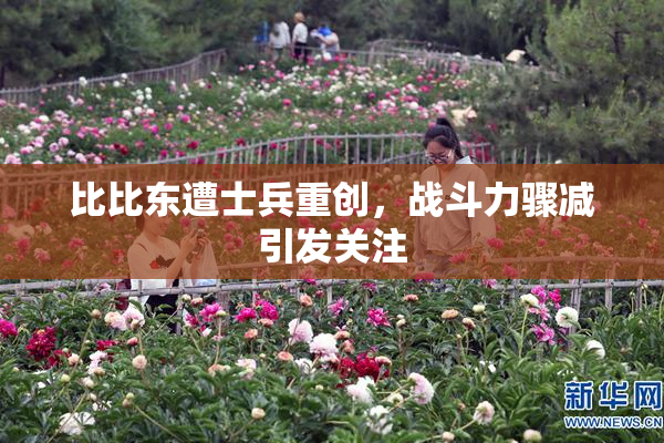 比比东遭士兵重创，战斗力骤减引发关注