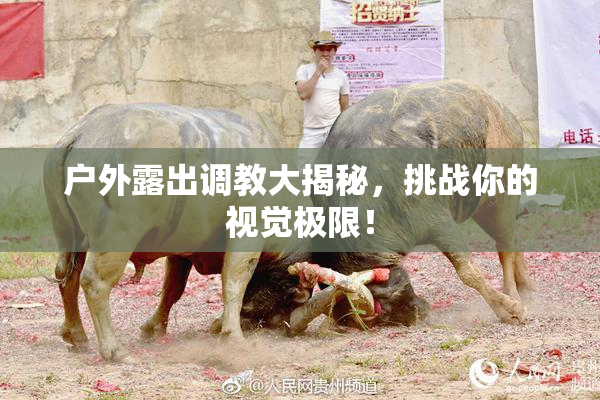 户外露出调教大揭秘，挑战你的视觉极限！