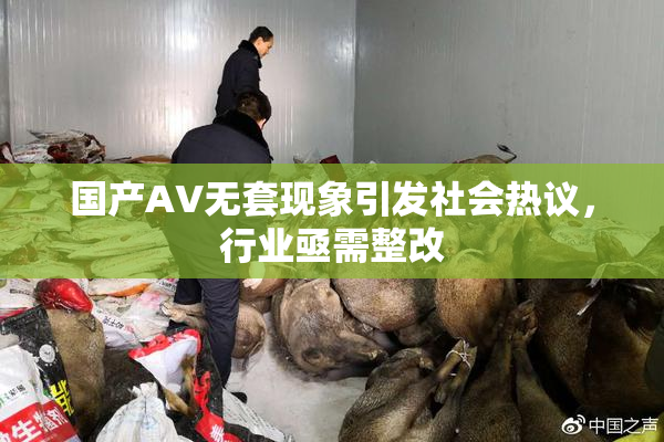 国产AV无套现象引发社会热议，行业亟需整改