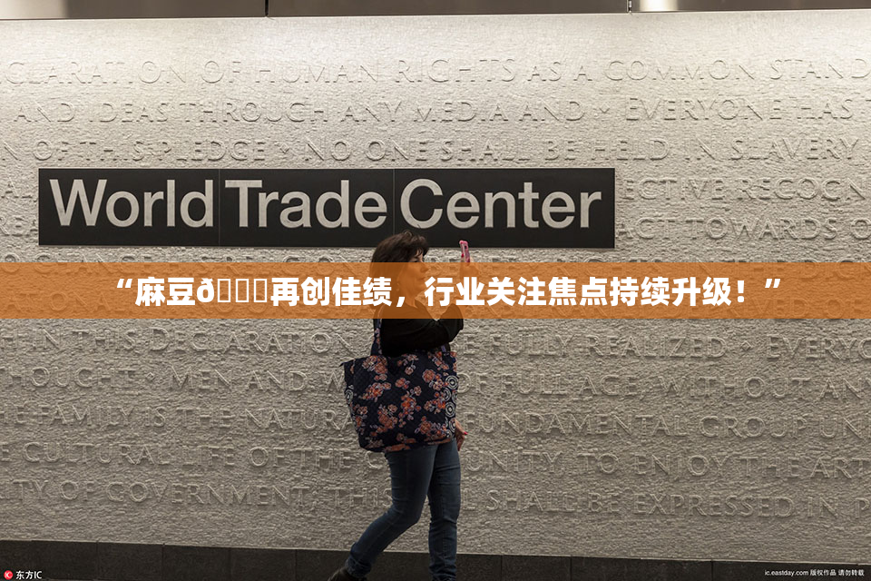 “麻豆🔞再创佳绩，行业关注焦点持续升级！”