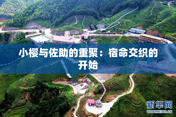 小樱与佐助的重聚：宿命交织的开始