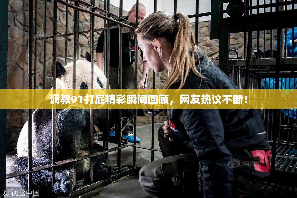调教91打屁精彩瞬间回顾，网友热议不断！
