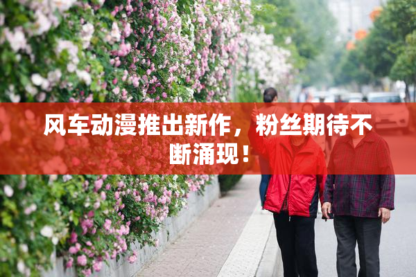 风车动漫推出新作，粉丝期待不断涌现！