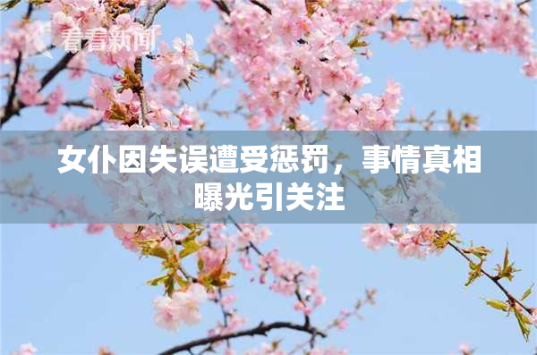 女仆因失误遭受惩罚，事情真相曝光引关注