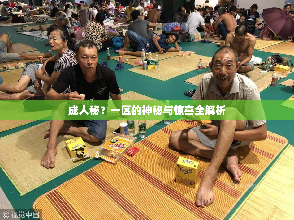 成人秘？一区的神秘与惊喜全解析