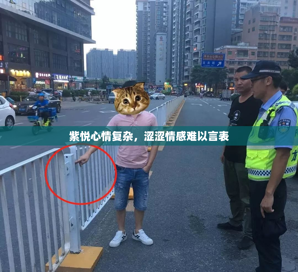 紫悦心情复杂，涩涩情感难以言表