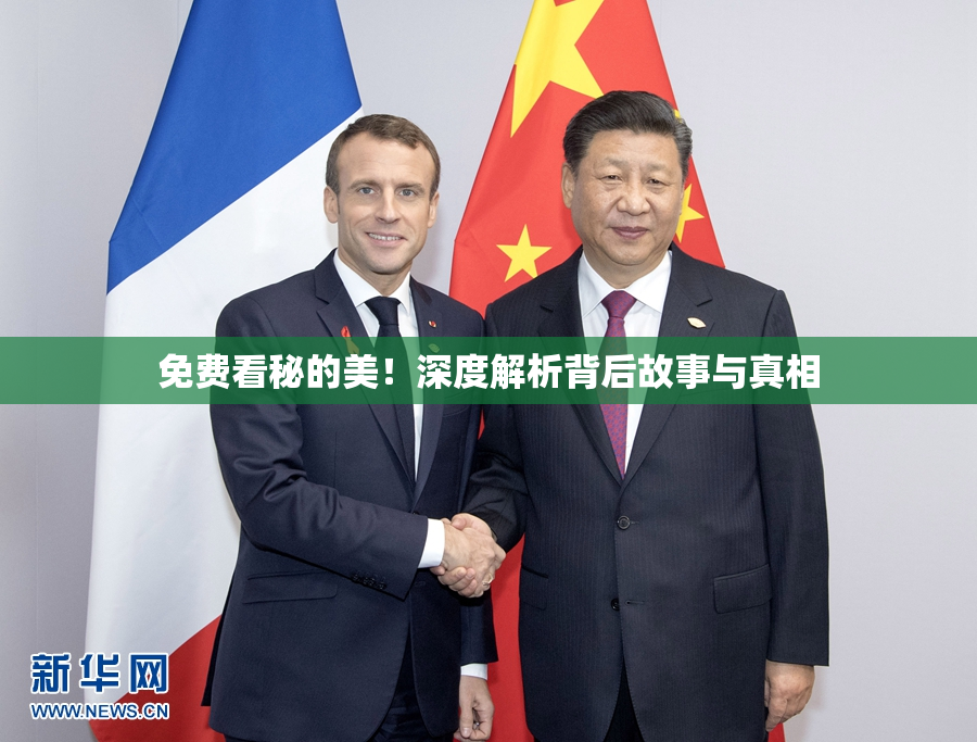 免费看秘的美！深度解析背后故事与真相