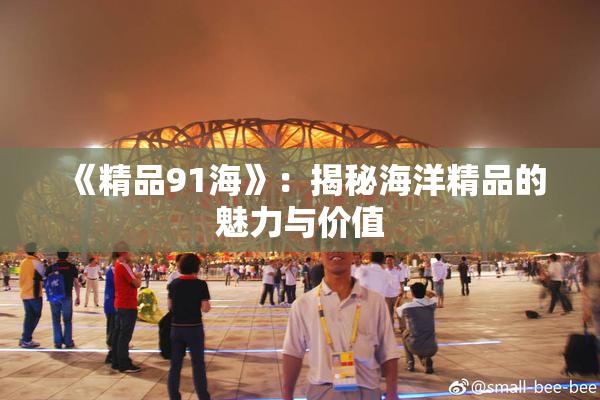 《精品91海》：揭秘海洋精品的魅力与价值