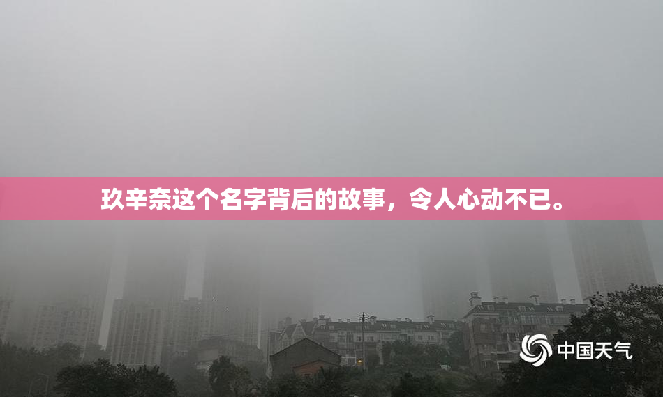 玖辛奈这个名字背后的故事，令人心动不已。