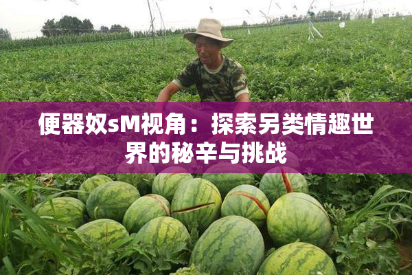 便器奴sM视角：探索另类情趣世界的秘辛与挑战