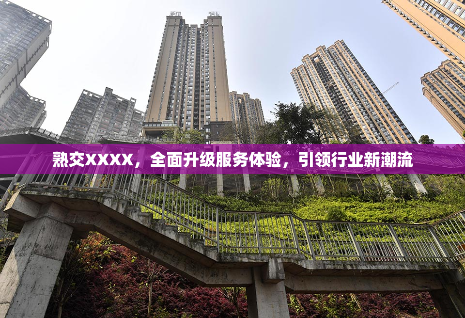 熟交XXXX，全面升级服务体验，引领行业新潮流