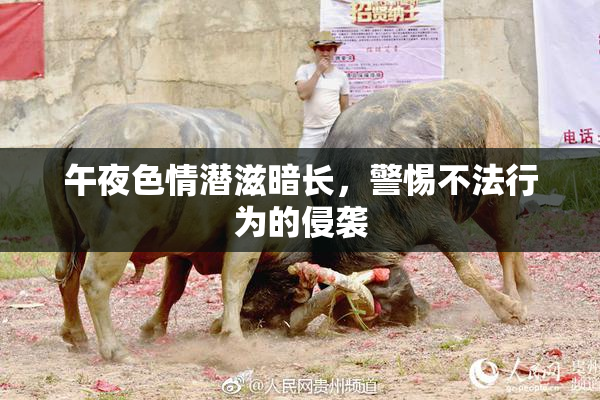 午夜色情潜滋暗长，警惕不法行为的侵袭