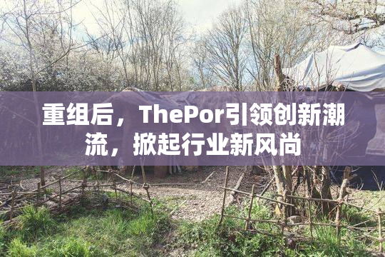 重组后，ThePor引领创新潮流，掀起行业新风尚