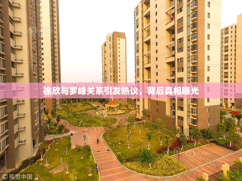 徐欣与罗峰关系引发热议，背后真相曝光