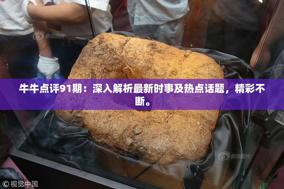 牛牛点评91期：深入解析最新时事及热点话题，精彩不断。