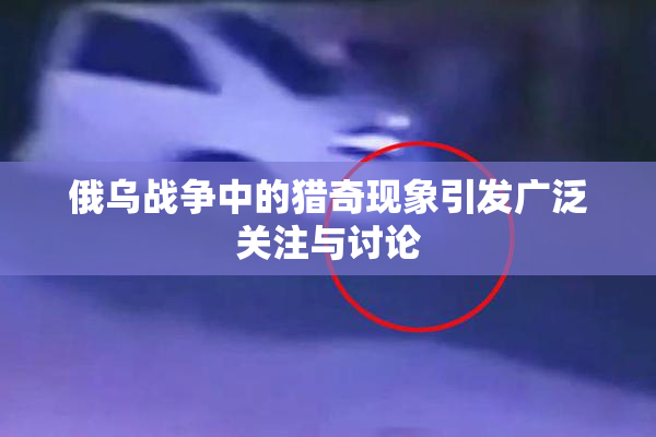 俄乌战争中的猎奇现象引发广泛关注与讨论