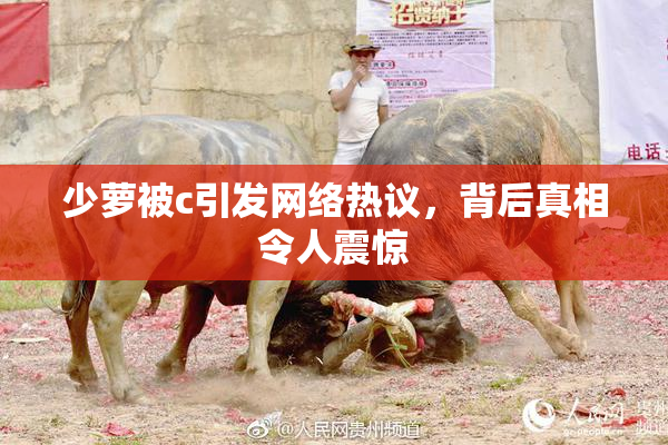 少萝被c引发网络热议，背后真相令人震惊