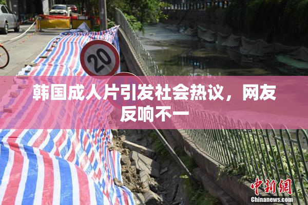 韩国成人片引发社会热议，网友反响不一