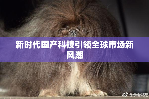 新时代国产科技引领全球市场新风潮
