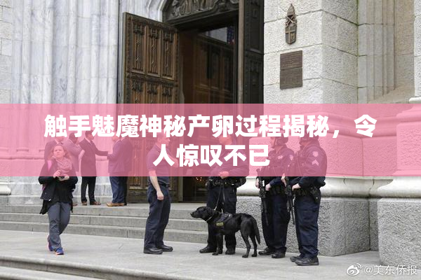 触手魅魔神秘产卵过程揭秘，令人惊叹不已