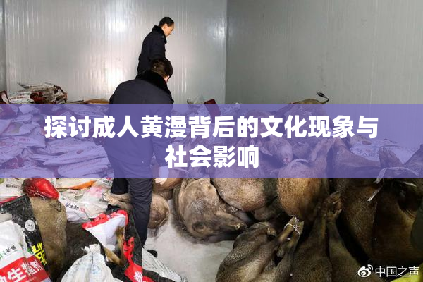探讨成人黄漫背后的文化现象与社会影响