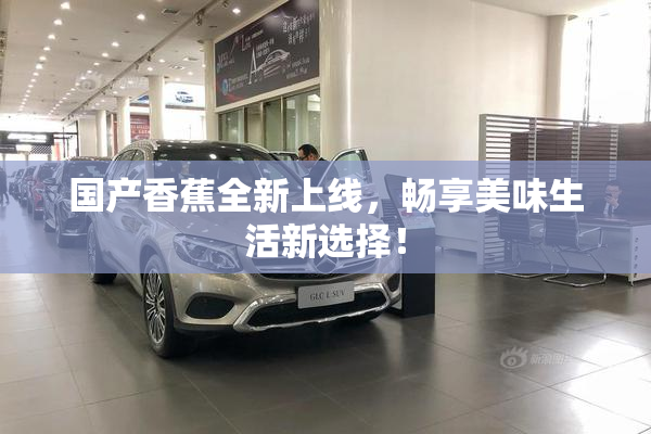 国产香蕉全新上线，畅享美味生活新选择！