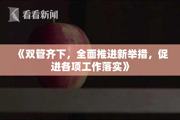 《双管齐下，全面推进新举措，促进各项工作落实》