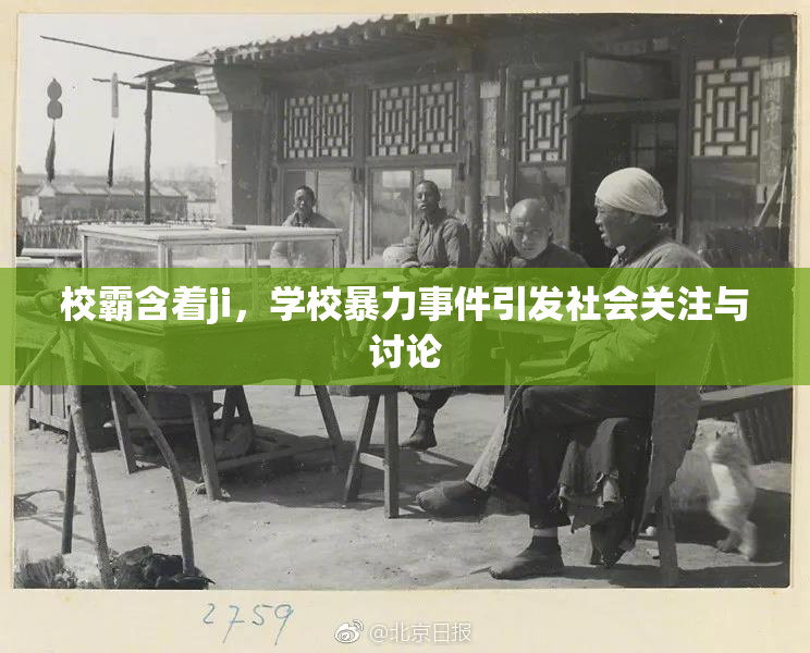 校霸含着ji，学校暴力事件引发社会关注与讨论