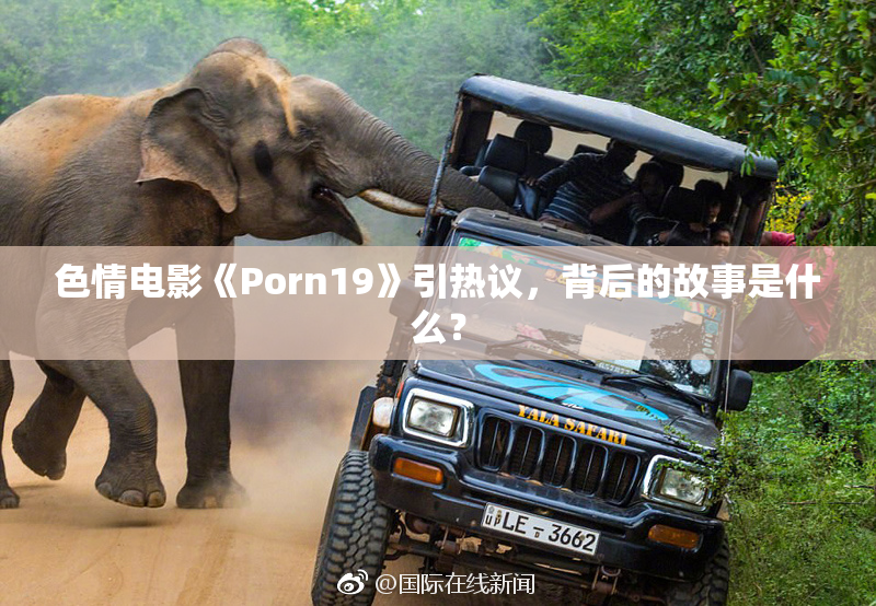 色情电影《Porn19》引热议，背后的故事是什么？