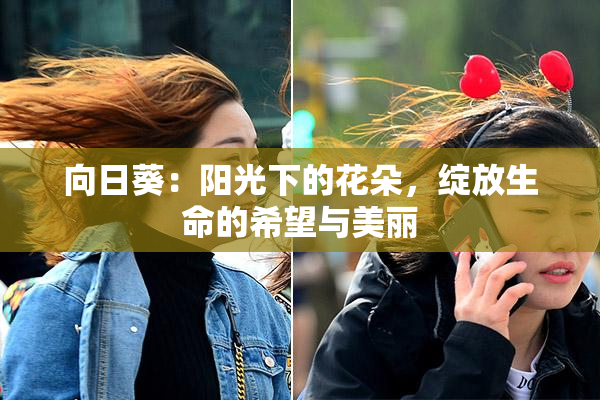 向日葵：阳光下的花朵，绽放生命的希望与美丽