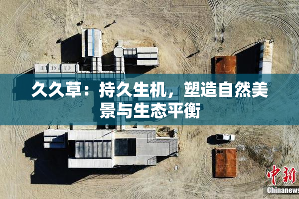 久久草：持久生机，塑造自然美景与生态平衡