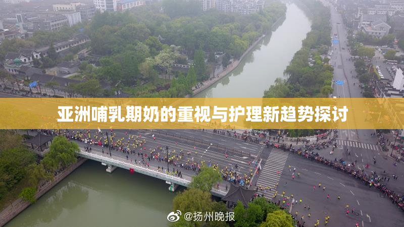 亚洲哺乳期奶的重视与护理新趋势探讨