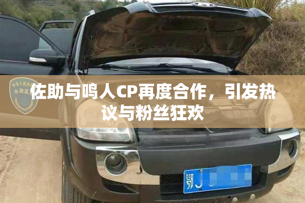 佐助与鸣人CP再度合作，引发热议与粉丝狂欢