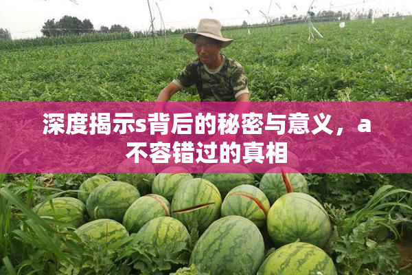 深度揭示s背后的秘密与意义，a不容错过的真相