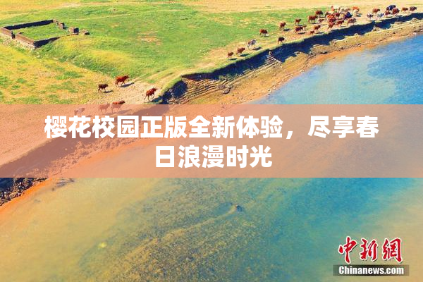 樱花校园正版全新体验，尽享春日浪漫时光