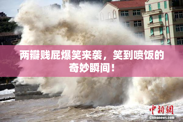 两瓣贱屁爆笑来袭，笑到喷饭的奇妙瞬间！