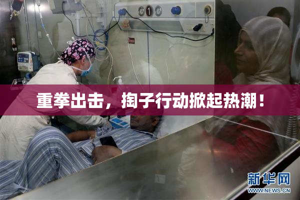 重拳出击，掏子行动掀起热潮！